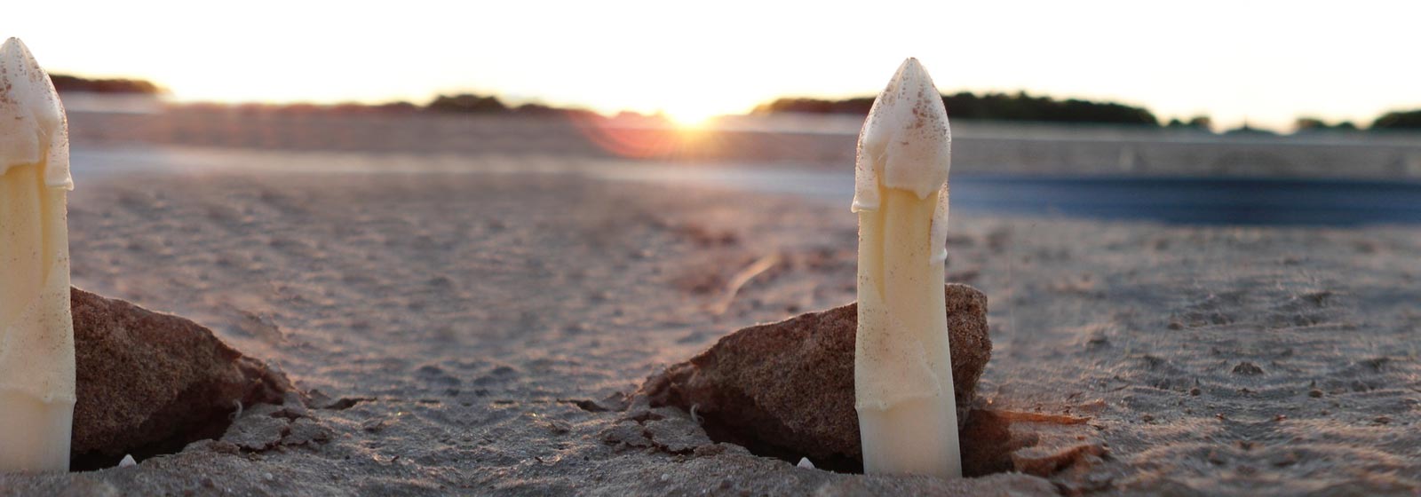 Spargel aus Lindach